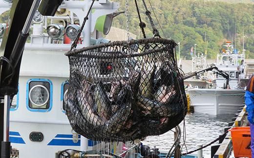 知床羅臼産　鮭　秋味切身セット 約400g×2パック 生産者 支援 応援 016942_AH112