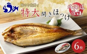 知床羅臼産 特大開きほっけ(6枚) 生産者 支援 応援 016942_AH120