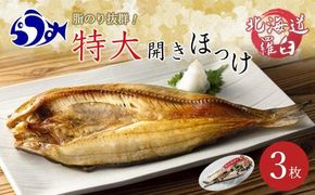 知床羅臼産 特大開きほっけ(3枚) 生産者 支援 応援 016942_AH121