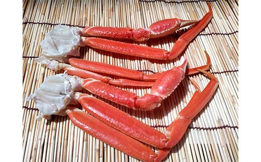 訳あり 北海道産 ずわいがに足ボイル1kg 知床 羅臼産 ズワイガニ 蟹 かに カニ 肩 脚 海鮮  鍋 海産物 魚介 魚介類 正月 新鮮 海鮮 豪華 生産者 支援 応援 016942_AH125