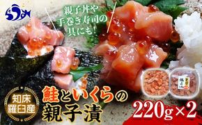 知床羅臼産 鮭といくらの親子漬220g×2 イクラ いくら丼 海鮮丼 魚卵 羅臼町 北海道 海産物 ご飯のお供 生産者 支援 応援 016942_AH140