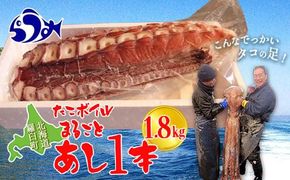 こんなでっかいタコみたことない(ボイル足1本) 北海道 海産物 魚介類 魚介 生産者 支援 応援 016942_AH211