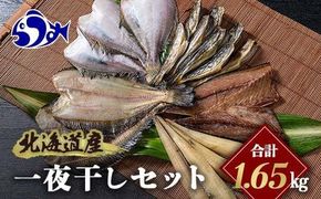 北海道産 一夜干し 合計1.65kg セットA 北海道 羅臼 鮮魚 魚 海鮮 八角 カレイ 鯖 一夜干し こまい 氷下魚 生産者 支援 応援 016942_AH232