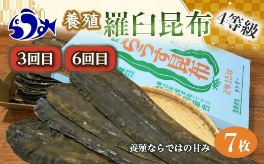 年6回！羅臼昆布の出汁比べ定期便（等級比較） 生産者 支援 応援 016942_AJ008