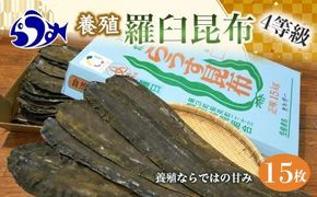 養殖４等羅臼昆布15枚セット(750g~1000g)北海道 知床 羅臼産 生産者 支援 応援 016942_AJ019