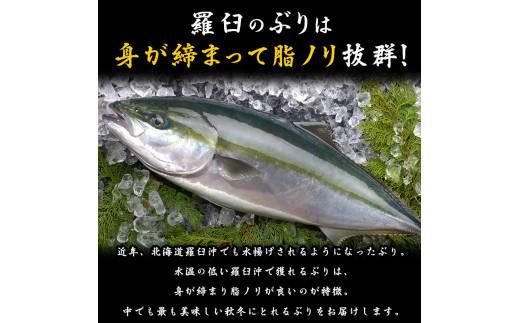 養殖４等羅臼昆布15枚セット(750g~1000g)北海道 知床 羅臼産 生産者 支援 応援 016942_AJ019