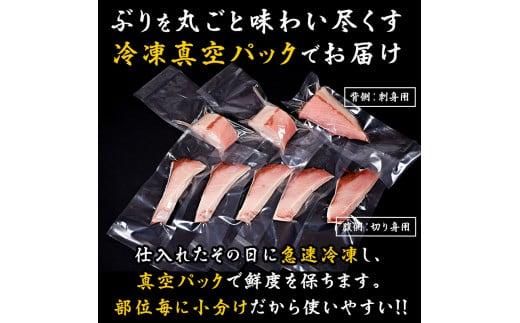 養殖４等羅臼昆布15枚セット(750g~1000g)北海道 知床 羅臼産 生産者 支援 応援 016942_AJ019