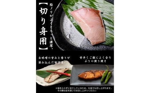 養殖４等羅臼昆布15枚セット(750g~1000g)北海道 知床 羅臼産 生産者 支援 応援 016942_AJ019