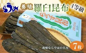 養殖４等羅臼昆布7枚セット(350g~500g)北海道 知床 羅臼産 生産者 支援 応援 016942_AJ020