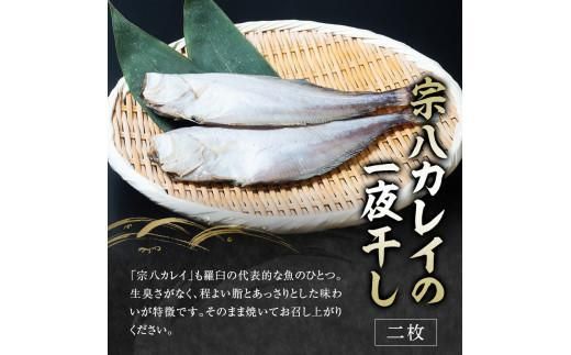 2回定期便 羅臼の魚 おすすめセット(1) 魚 切り身 切身 海鮮 福袋 家族 たら さくらます ほっけ カレイ こまい 一夜干し 粕漬け 北海道産 海鮮 海産物 魚介 魚卵 生産者 応援 支援 詰め合わせ 016942_AJ052