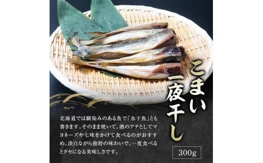 6回定期便 羅臼の魚 おすすめセット(1) 魚 切り身 切身 海鮮 福袋 家族 たら さくらます ほっけ カレイ こまい 一夜干し 粕漬け 北海道産 海鮮 海産物 魚介 魚卵 生産者 応援 支援 詰め合わせ 016942_AJ056