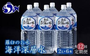 年12回！北海道 羅臼（らうす）のお水 海洋深層水2L×6本定期便 知床 世界自然遺産 国産 備蓄 常備水 ペットボトル ミネラル 清涼飲料水 生産者 支援 応 016942_AK034