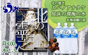 知床深海の水と北の霊芝カバノアナタケ茶セット  海洋深層水 北海道 知床 羅臼 らうす 世界自然遺産 天然 ミネラル マグネシウム 国産 常備水 備蓄 硬水 清涼飲料水 幻 きのこ キノコ お茶 生産者 支援 応 016942_AK040