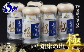 知床の塩 極(きわみ)5本セット  世界自然遺産 海洋深層水 知床らうす深層水 ミネラル 天然 北海道 らうすブランド 羅臼 ミネラル うまみ 万能 TV テレビで紹介 番組 生産者 支援 応 016942_AK045