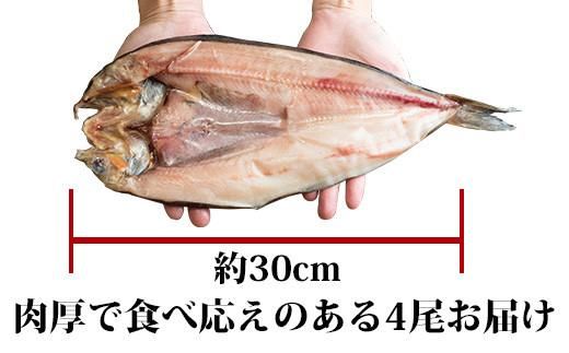 知床羅臼産 特大開きほっけ(4枚) 生産者 支援 応援 016942_AL006