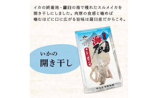 イカ塩辛＆一夜干し いか 開き干し 干物 珍味 おつまみ 羅臼町 北海道 冷凍 生産者 支援 応援 016942_AM001