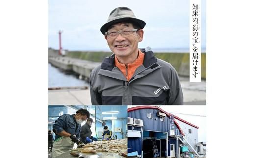 イカ塩辛＆一夜干し いか 開き干し 干物 珍味 おつまみ 羅臼町 北海道 冷凍 生産者 支援 応援 016942_AM001