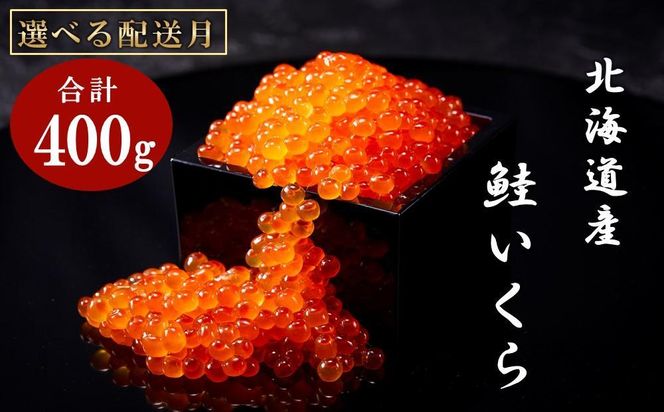 【1月発送】北海道産 いくら（鮭卵）醤油漬け 大容量400g(200g×2パック) 国産 小分けパック イクラ 海鮮丼 ギフト 贈り物 魚介類 魚介 海産物 鮭 シャケ しゃけ 生産者 支援 応援 016942_AP008VC04