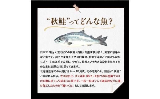 【1月発送】北海道産 いくら（鮭卵）醤油漬け 大容量400g(200g×2パック) 国産 小分けパック イクラ 海鮮丼 ギフト 贈り物 魚介類 魚介 海産物 鮭 シャケ しゃけ 生産者 支援 応援 016942_AP008VC04