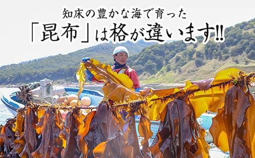 【200枚限定】養殖昆布4年熟成蔵出し羅臼昆布１枚入り≪化粧箱入≫北海道 知床 羅臼産 生産者 支援 応援 016942_AT007