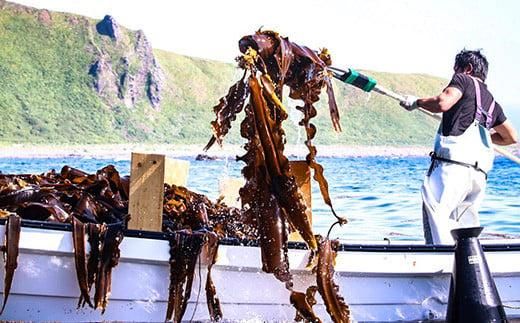 天然１等 天神さん家の花折羅臼昆布 2枚入り 北海道 知床 羅臼産 生産者 支援 応援 だし 和食 016942_AT009