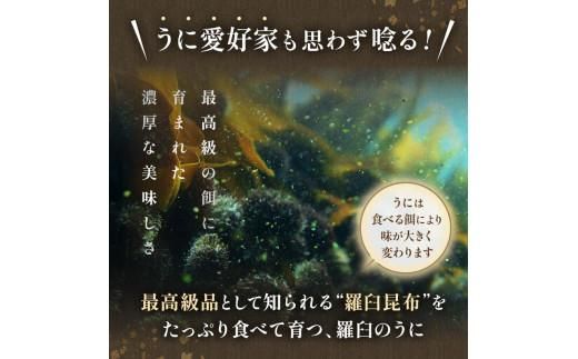 【先行予約】羅臼産 塩水うに（上） 100g （100g×1枚） 天然 エゾバフンうに  ミョウバン不使用 北海道産 知床羅臼産 016942_BX001