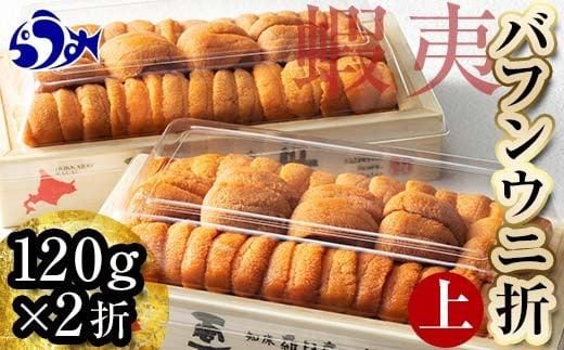 【先行予約】羅臼産 折うに（上） 240g （120g×2枚） 北海道 知床 羅臼産 天然 エゾバフンうに 016942_BX006