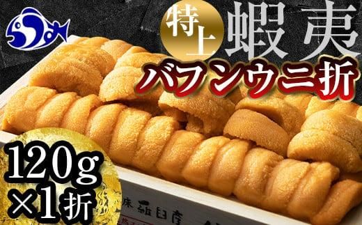 【先行予約】羅臼産 折うに（特上120g （120g×1枚）　北海道知床羅臼産 天然 エゾバフンうに 016942_BX007