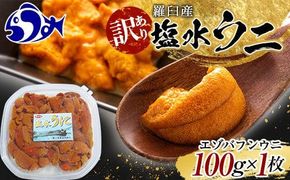 【先行予約】訳あり塩水うに（ばふんうに）100g×1枚 北海道 知床 羅臼 天然 エゾバフン ウニ 雲丹 海鮮 魚介 016942_BX012