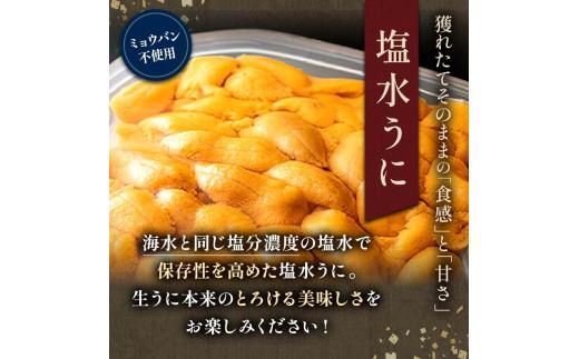 【先行予約】訳あり塩水うに（ばふんうに）100g×1枚 北海道 知床 羅臼 天然 エゾバフン ウニ 雲丹 海鮮 魚介 016942_BX012