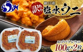 【先行予約】訳あり塩水うに（ばふんうに）100g×2枚 北海道 知床 羅臼 天然 エゾバフン ウニ 雲丹 海鮮 魚介 016942_BX013