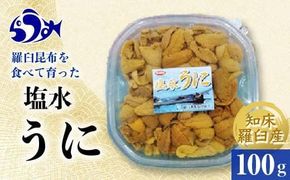 【先行予約/2026年1月より発送】天然 エゾバフンうに （中）塩水うに 100g （100g×1枚）ミョウバン不使用 北海道産 知床羅臼産 016942_BY003