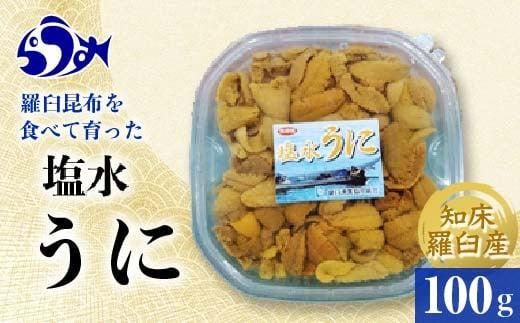 【先行予約】天然 エゾバフンうに （中）塩水うに 100g（100g×1枚）2025年1月中旬から発送ミョウバン不使用 北海道産 知床羅臼産 016942_BY003