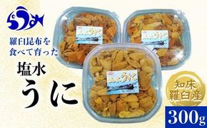 【先行予約/2026年1月より発送】天然 エゾバフンうに （中）塩水うに 300g （100g×3枚）ミョウバン不使用 北海道産 知床羅臼産 016942_BY005