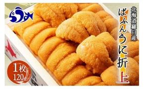【先行予約/2026年1月より発送】エゾバフンウニ（上）折うに 120g×1枚 016942_BY006