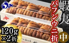 【先行予約/2026年1月より発送】エゾバフンウニ（中）折うに 120g×2枚 016942_BY009