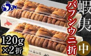 【先行予約】北海道知床羅臼産 天然エゾバフンうに（中）折うに  120g×2枚　2025年1月中旬から発送 016942_BY009