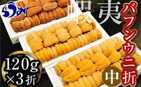 【先行予約】北海道知床羅臼産 天然エゾバフンうに（中）折うに  120g×3枚　2025年1月中旬から発送 016942_BY010