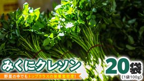 【 先行予約 】 みくにクレソン100g×20袋 美容 健康 野菜 スーパーフード クレソン [CY005ci]