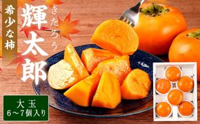 希少な柿［輝太郎］大玉6個～7個 コクのある甘さ！こだわり農家厳選［2026年9月末から10月末頃順次発送］［KG24］ 303446_XM90024