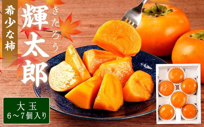 希少な柿［輝太郎］大玉6個～7個 コクのある甘さ！こだわり農家厳選［2026年9月末から10月末頃順次発送］［KG24］ 303446_XM90024