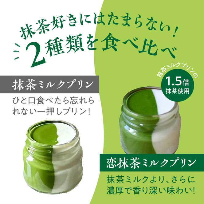 抹茶ミルクプリン　お茶事セット　6個入［177M02］抹茶 ミルク プリン お茶事 セット 6個入 恋抹茶 食べ比べ 手作り 濃厚 縦2層 セット まっちゃのおじさん オリジナルプリン 味わい深い