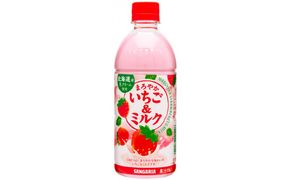 サンガリア　まろやかいちご＆ミルク　500ml　24本入 242161_AQ024