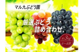 【先行予約】【数量限定】 厳選ぶどう 詰め合わせセット 約3kg 〔2025年8月中旬より順次発送〕 232238_CR08-PR