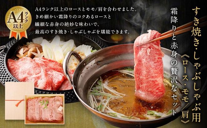 【銀閣寺大西】京都肉焼肉盛り合わせ＆すき焼き・しゃぶしゃぶ用セット（各800ｇ）［ 京都 老舗 肉 バラ モモ ロース 人気 おすすめ グルメ おいしい 高級 ブランド ブランド牛 和牛 国産牛 料理 ステーキ すき焼き しゃぶしゃぶ 焼肉 ］  261009_A-AG011