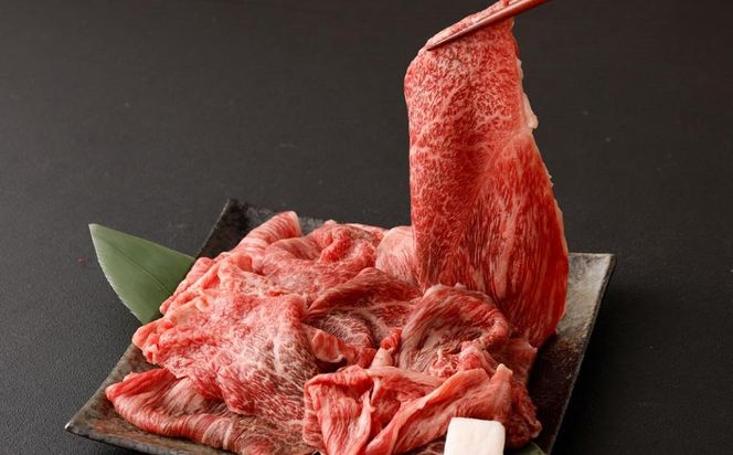 【京都モリタ屋】京の逸品! 京都肉 切落とし500g｜京都 老舗 有名店 ブランド牛 人気［ 京都 明治二年創業 牛肉専門店 有名店 切り落とし 焼肉 高品質 グルメ おいしい 人気 おすすめ 和牛 国産 ギフト プレゼント 贈答 お取り寄せ 通販 送料無料 ふるさと納税 ］ 261009_A-AK001