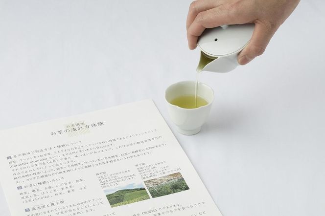 【福寿園京都本店】おいしいお茶の淹れ方講座 体験チケット 1名様分 261009_A-BD003