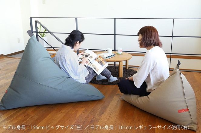 【大東寝具】tetra 8号帆布（ビッグサイズ）【ビーズクッション座椅子】（あずき）［ 京都 寝具 老舗 クッション 人気 おすすめ くつろぎ 寝ごこち お取り寄せ 通販 送料無料 ふるさと納税 ］ 261009_A-BM042VC007