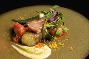 【レストラン アトールテラスカモガワ】「鴨川沿いで京フレンチを堪能」ディナーコースお食事券（1名様用）［ 京都 京料理 食事 ディナー 人気 おすすめ 老舗 グルメ チケット 割引 ］ 261009_A-FP003