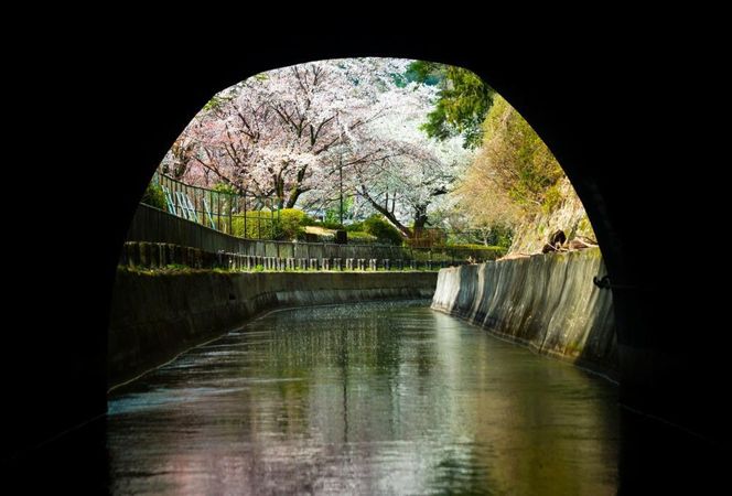 【びわ湖疏水船：びわ湖大津港便】春シーズン先行予約権（２名様分の乗船予約の権利） 261009_A-JE015
